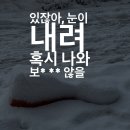 아니 눈 스토리 올리면서 드림 ‘문’ 노래 넣었는데 이미지