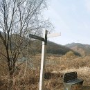 수풀로 삼회리 네이버블로그