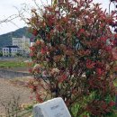 조각공원길 이미지