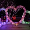 청도프로방스 불빛축제 카라반 펜션 이미지