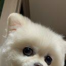 먹싸 이미지
