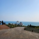 오륙도식당 | 오륙도 수선화 개화시기, 만개 후기 + 광안리 드론쇼 시간 꿀팁