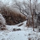 오지산행후기(1171차) 계곡산행(5) 2024.02.15(목)