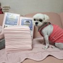 복희슈퍼