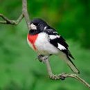 또바트유치원 이미지