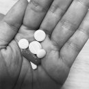 포항물회해물포차 이미지