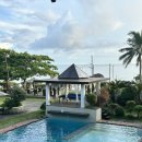 다이브(DIVE) | [보홀 다이빙 리조트 추천] 보홀 Go2Dive (고투다이브) 내돈내산 후기/추천/다이빙코스 소개