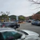 하늘계단 | ★아찔한 하늘 계단 롤러코스터, 환호공원의 포항 스페이스 워크 체험 후기★