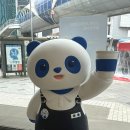 베리굿즈 | 차백도 신메뉴 블루밍 베리 가격 및 굿즈 후기
