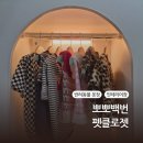 내강아지옷장