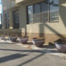 태평2동 주민센터 이미지