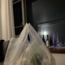 종포수산