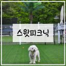 가평 반려견 동반 당일 글램핑 캠프닉 추천 스윗피크닉