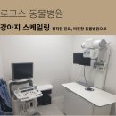 로고스치과병원 | 로고스동물병원, 강아지 스케일링 치료 후기