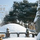 파주삼릉 이미지