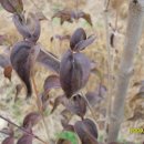 (주)황금농장 이미지