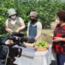 해피그린농장 이미지