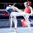 금빛스타태권도 이미지