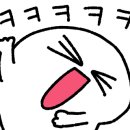 고기혼 이미지