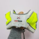 라이트 하운드 이미지