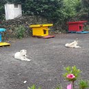 산민박 이미지