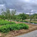 고령농장(2) 이미지