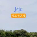 금등첨화 이미지