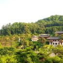 대구다실