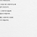 차봄 이미지
