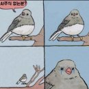 세아테크