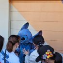 씨스페이스 토리상점 | 일본_도쿄 3박4일:2일차(도쿄 디즈니랜드,디즈니랜드퍼레이드,디즈니랜드공연,알린모찌,미녀와야수...