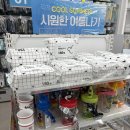 다이소완주봉동점 | 완주 둔산리 다이소 6월 신상 쇼핑템 후기✨구경해요