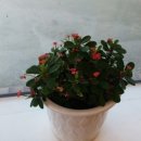 언덕위에바다 이미지