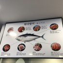 청호동식당 | 속초 참치정육점 청호동횟집 참맛 참치정육식당