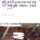 호주산 스테이크에 이런 비밀이?..'인류 생존' 위협하는 '곤충겟돈 이미지