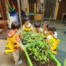 소라어린이집 이미지