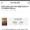 대륙드론