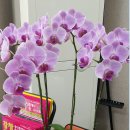 창 행정사사무소 이미지