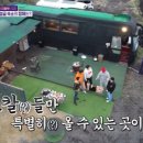 왁자지껄캠핑클럽 이미지