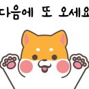도그플러스 동물병원(미유펫 대구점) 이미지
