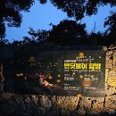 산양마을운영위원회 | 제주 6월 가볼만한곳 산양큰엉곶 반딧불이 탐방 후기 예약 가격 시간 총정리