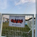 서촌동 댕번지 네이버블로그
