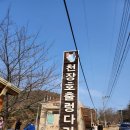 겨울축제 칠갑산 얼음분수 축제 알프스마을 겨울왕국 여행ㅡ주차대란ㅡ 꼭 알아야 할 점ㅡ 천장호 구름다리 여행 ㅡ 이미지