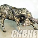 성경약국 이미지