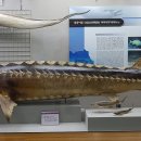 부산해양자연사박물관 이미지