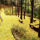 오늘은 통기타(야간) 이미지