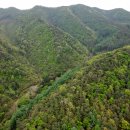 옥화자연휴양림 국민여가오토캠핑장 이미지