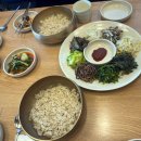 고향야채 | 용인 에버랜드 맛집 한식 추천 '고향보리밥' 재방문 후기(털레기, 보리밥, 도토리묵, 녹두전)