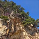 해물마을 | 당진 왜목마을 맛집 해오름 해물칼국수 내돈내산 솔직후기