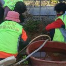 순천만짱둥어마을 이미지